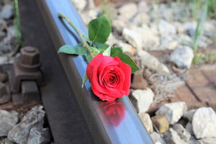 孕晚期坐长途高铁需要注意什么防血栓? 孕晚期坐长途高铁需要注意什么防血栓?
